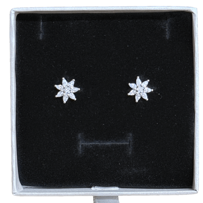 IMG-20251114-WA0084-Photoroom